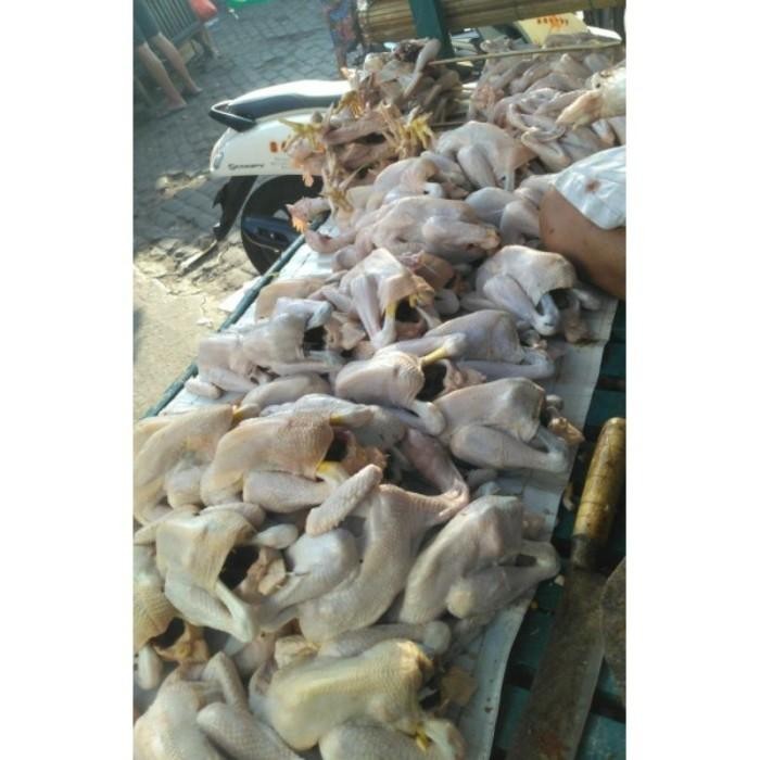 

(Allthebest) AYAM KAMPUNG MEDIUM 650-725 gr