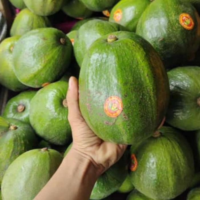 

TERLARIS Alpukat Mentega Papua Premium per KG READY STOCK