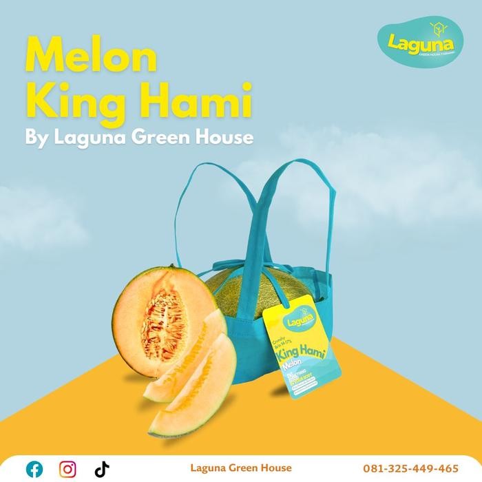 

DISKON Melon Hamigua Premium 2kg - by Laguna Greenhouse - Garansi Manis READY STOCK