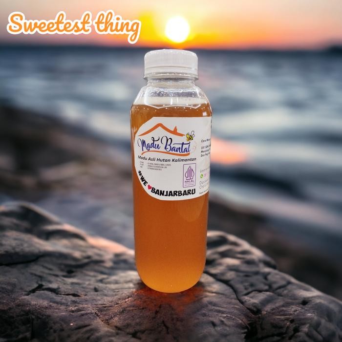 

Madu bantal, madu asli hutan kalimantan