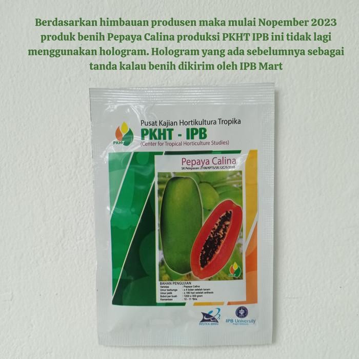 (Allthebest) Benih Pepaya Calina PKHT IPB 9 (California) Callina