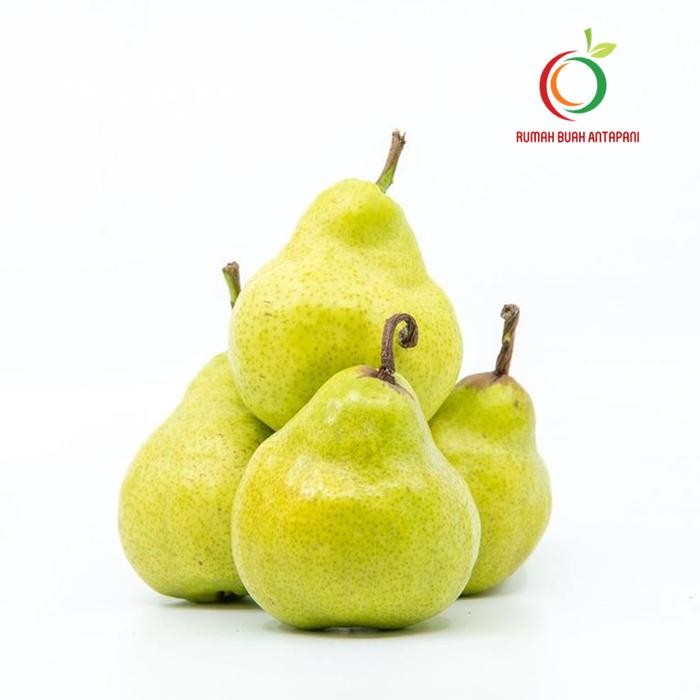 

TERLARIS Buah Pir Packham / Pear Hijau Jambu 500 Gram READY STOCK