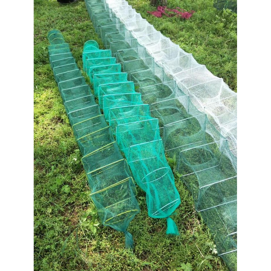 Jala Bubu Naga 5.5M Perangkap Ikan Lobster Persegi