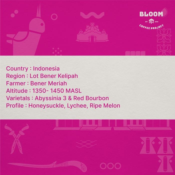 

Biji Kopi Aceh Gayo Bener Meriah - Aurora Dew Burgundy Lychee - Coffee Green Beans Terlaris