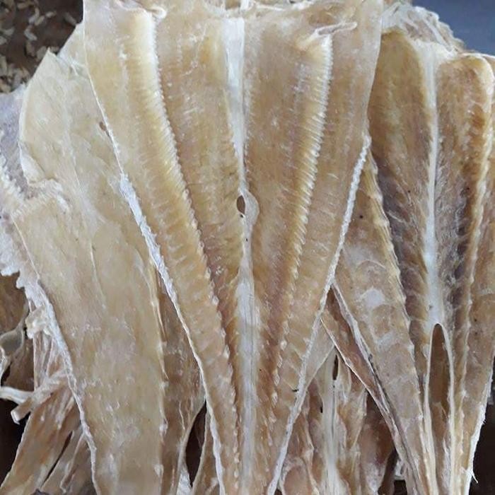 

Ikan Pari Medan 250Gram Terlaris