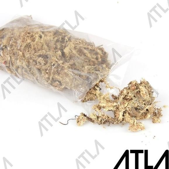 Sphagnum Moss 5 Kg Media Tanam Anggrek Spagnum Mos Chile 5Kg Mt082 Xz