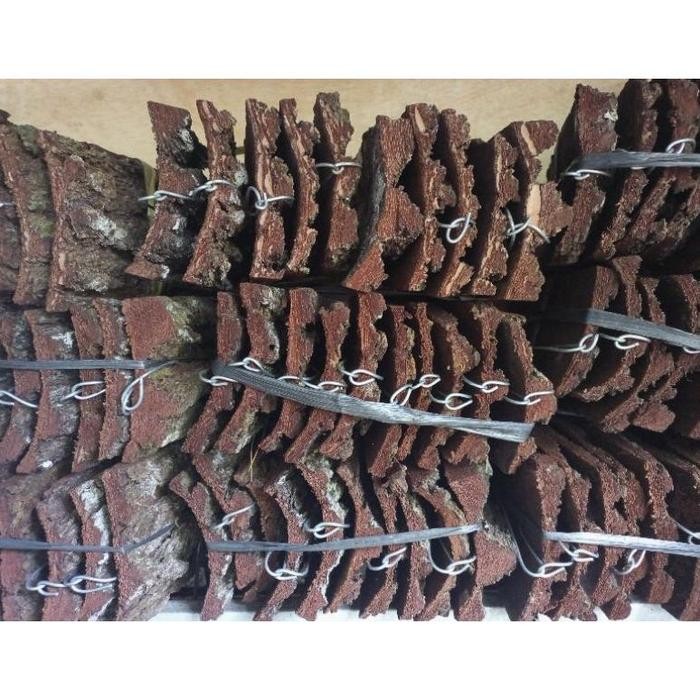 (7 pcs )Papan Kulit Kayu Pinus Media Tanam Anggrek