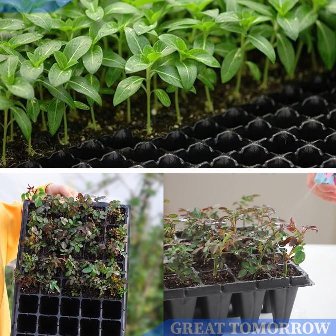 GT Tray Semai 200 Lubang / Pot tray Semai 128 Lubang 100Pcs Set