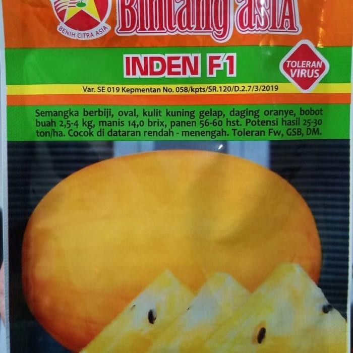 (Allthebest) benih semangka kuning inden F1