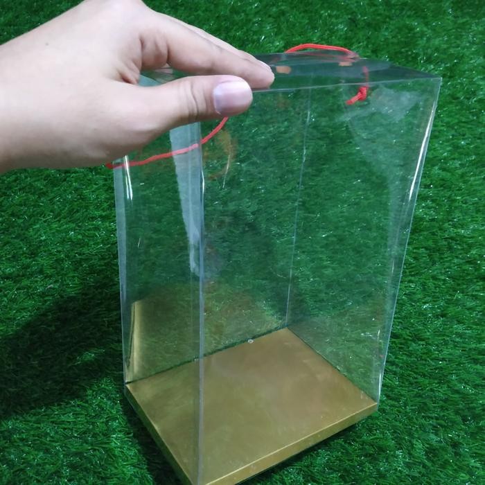 JT Box Mika Boneka Wisuda Medium 30cm