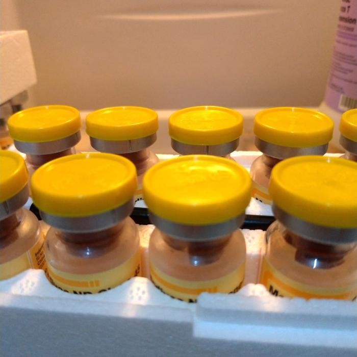 Vaksinasi Vaksin Ayam ND KILL ND CLONE 45 Dosis 500 Ayam