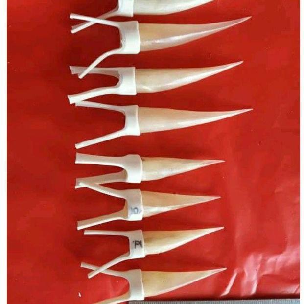 JALU SAMBUNG/TAJI AYAM Jalu sambungan