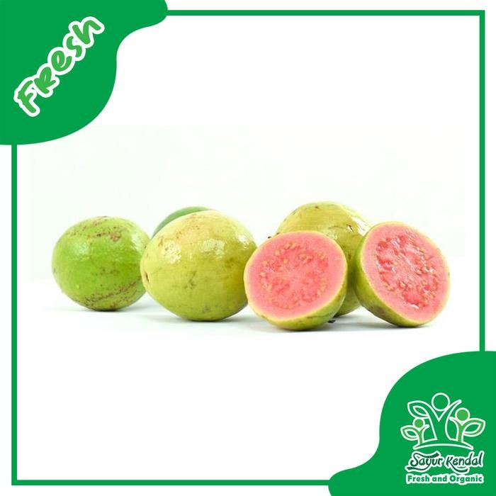 

SIAPKIRIM Jambu Biji Merah - Sayur Kendal READY STOCK