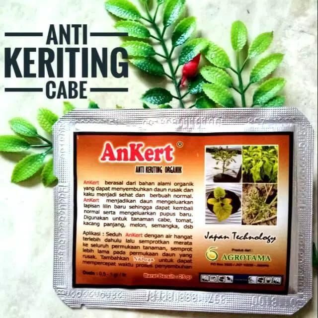 Lionmarket Obat Cabe Anti Kriting Ankert Obat Tanaman Cabe