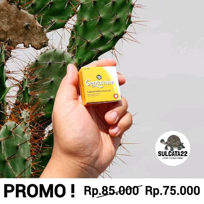 tersedia gentamine salep antibiotik reptil luka infeksi kulit