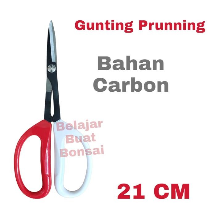 

ID GUNTING PRUNNING BAHAN CARBON MERAH PUTIH 21 CM IMPORT