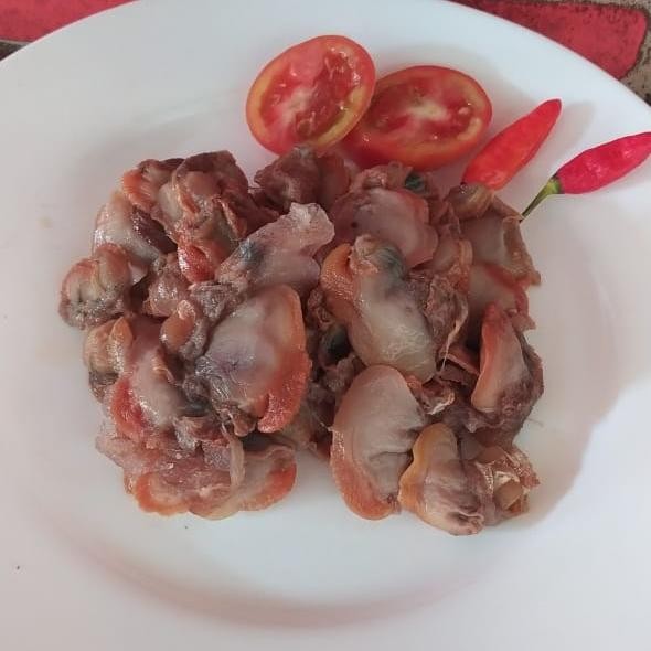 

daging kerang dara 1 kg frozen - segar & siap olah stok terbatas