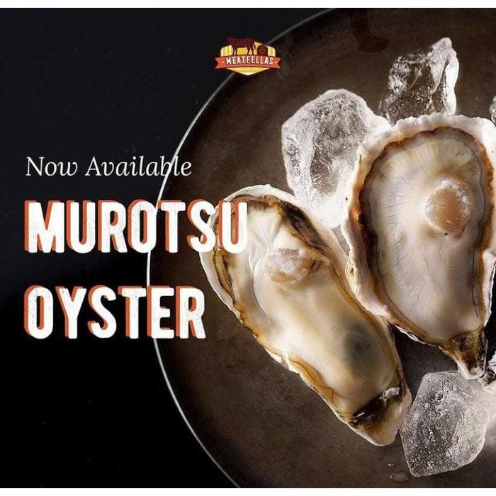 

Baru Tiram Murotsu Oyster Size S,M,L Terlaris