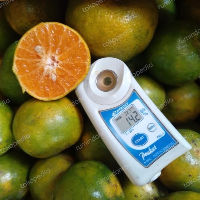 

NATURE- Jeruk Siam Madu / Jeruk Siem Madu Fresh