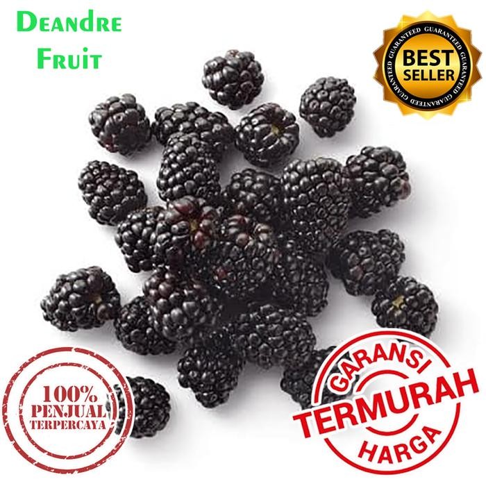 

NATURE- Grosir Murah 1/2Kg Blackberry Frozen Buah Beku Mulberry Murbei