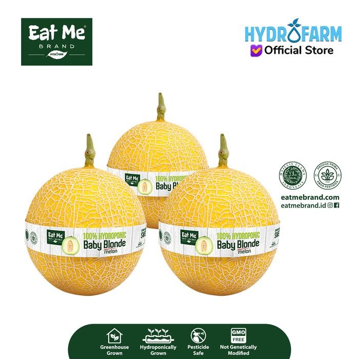 

NATURE- Eat Me Brand - Beli 3 Melon Baby Blonde (Dibawah 800Gr/Pcs)