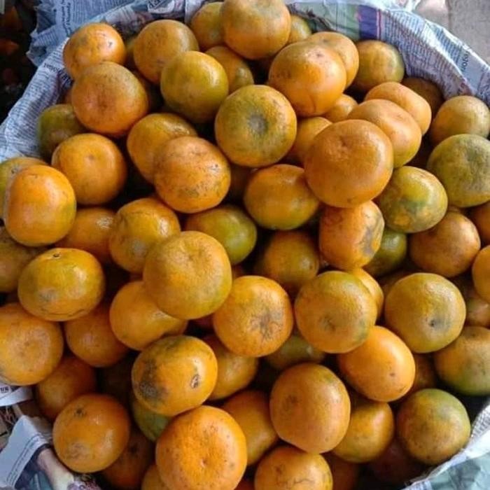 

NATURE- Jeruk Medan Super