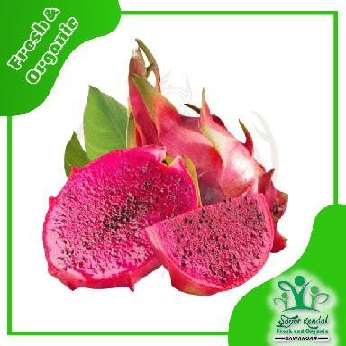 

NATURE- Fresh Naga Merah - Sayur Kendal Sawangan