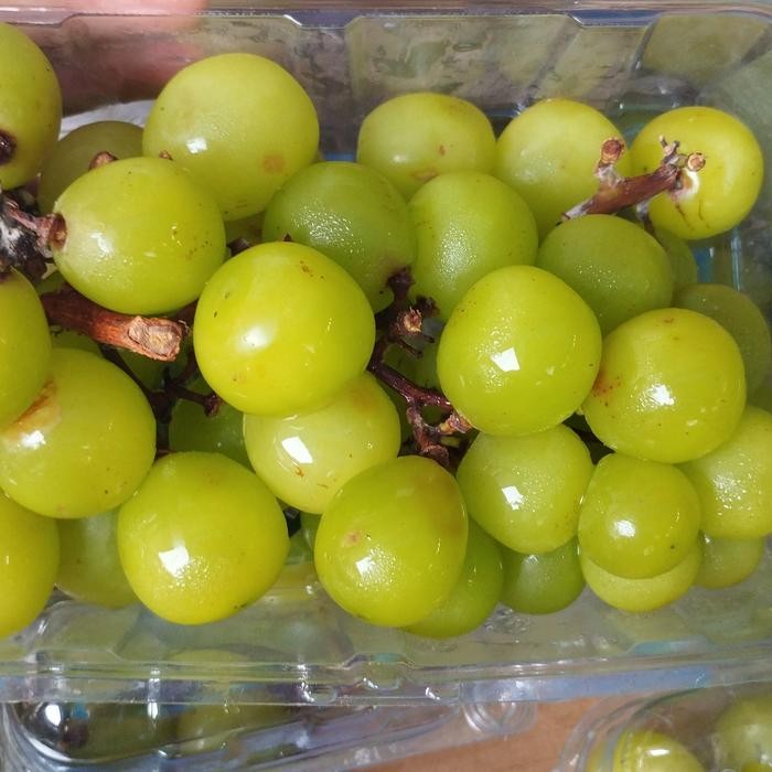 

NATURE- 500 Gram Muscat / Anggur Hijau ( Manis )