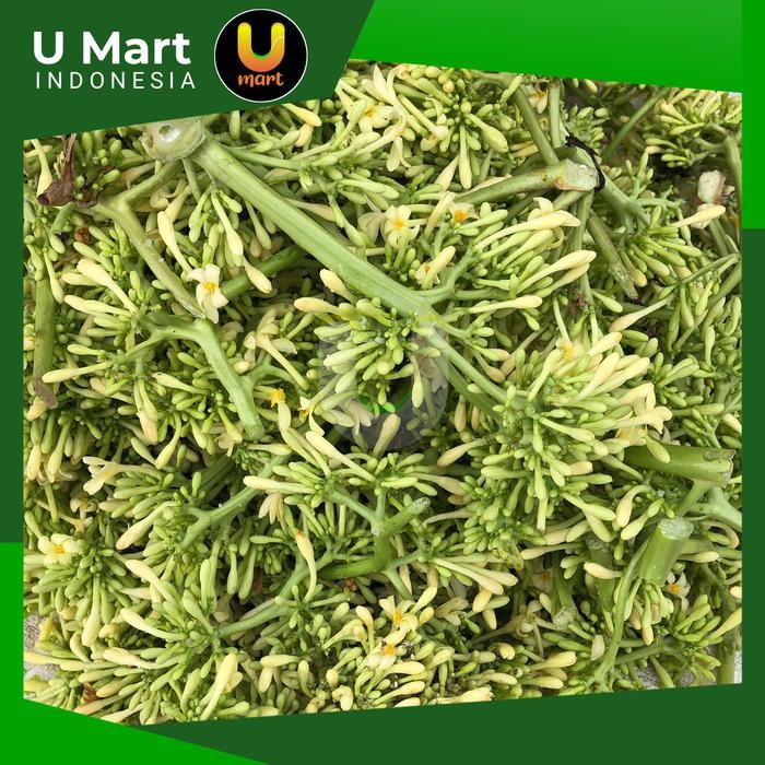 

LUXEHEALTH- U Mart - Bunga Pepaya 500 Gram Kembang Paya Segar