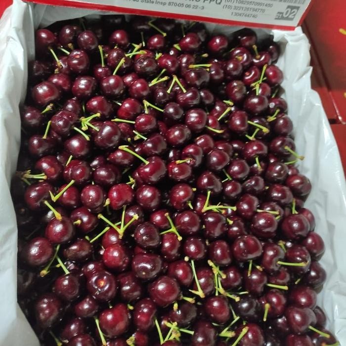 

Buah Cherry Import Premium Fresh Cherries import