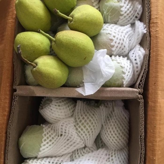 

PEAR XIANGLIE KEMASAN 2KG