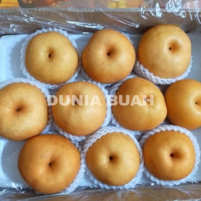 

PEAR SINGO KEMASAN 6KG