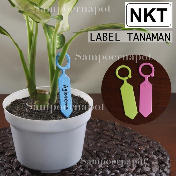 

jjm - label tag tanaman warna warni name tag bahan tebal - pack isi 50 pcs