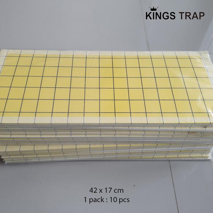 

Pilihan- 10 Lembar Glue Pad / Kertas Lem Fly Catcher 42 X 17 Cm