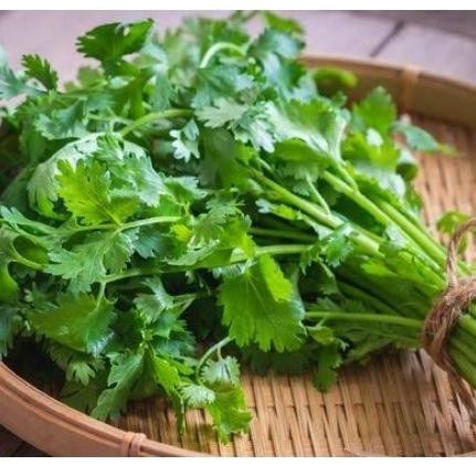 

Pilihan- Daun Ketumbar Segar