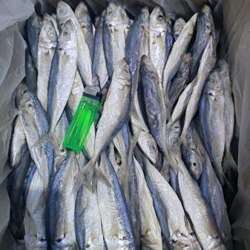 

Ikan Asin Peda Layang 500gr