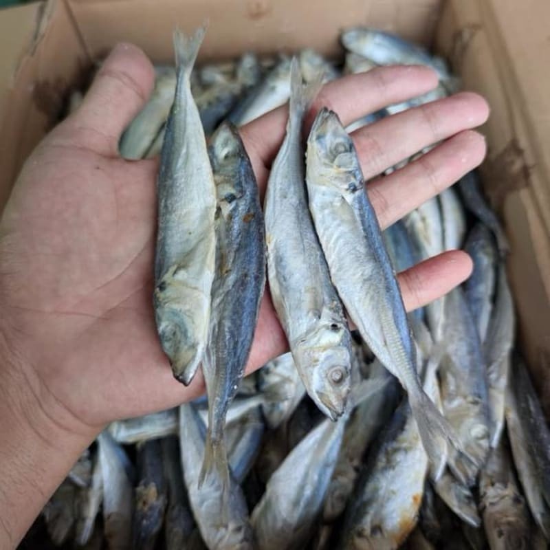 

Ikan Asin Peda Layang Kecil/Lonco 1000gr