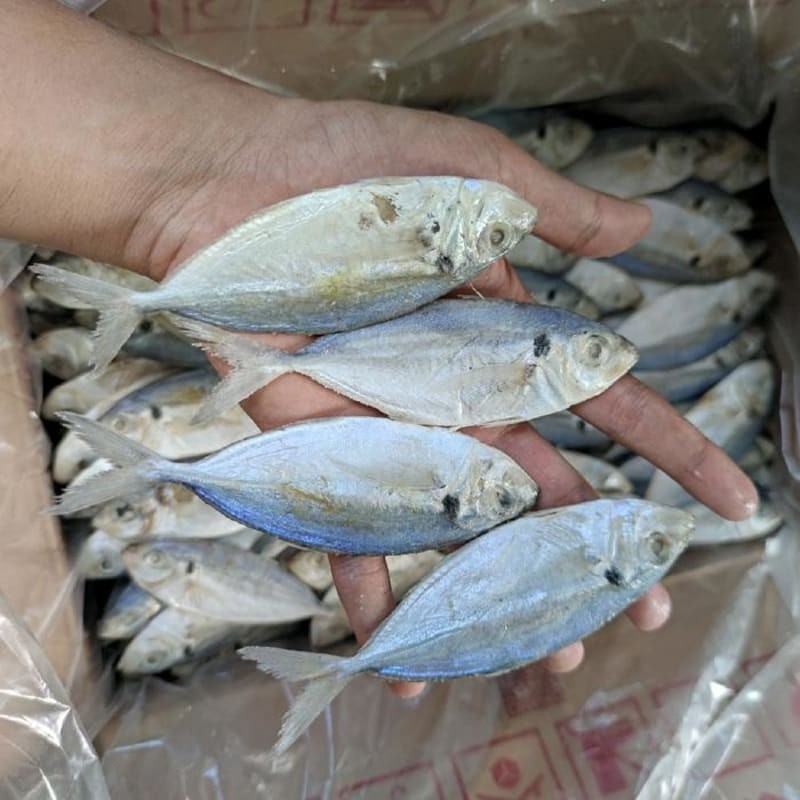 

Ikan Asin Selar Jumbo 500gr