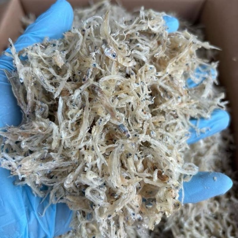 

Teri Nasi Tawar Untuk MPASi Anak Balita Kemasan 250gr | Ikan Teri Nasi Tawar