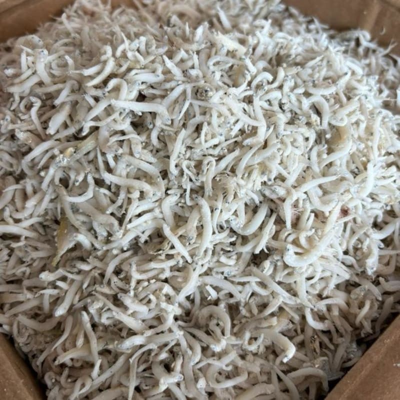 

Teri Nasi Medan Sedang VIP Rendah Garam (Rebus) 100gr