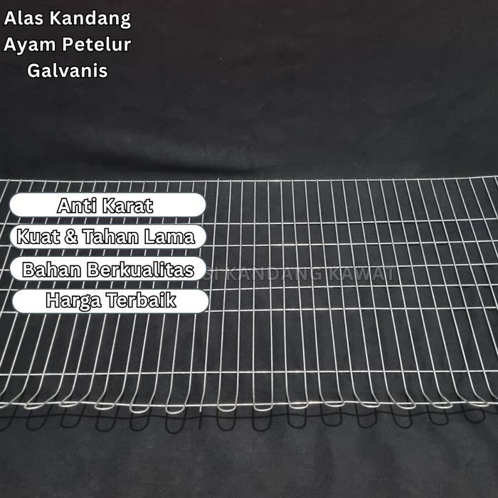 Alas Kandang Ayam Petelur 6 Ekor & 8 Ekor Petelur Besi Galvanis Kokoh Tahan Lama Anti Karat