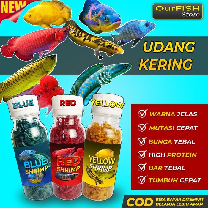 Udang Kering Pakan Ikan Channa Maru Yellow Sentarum Auranti Limbata