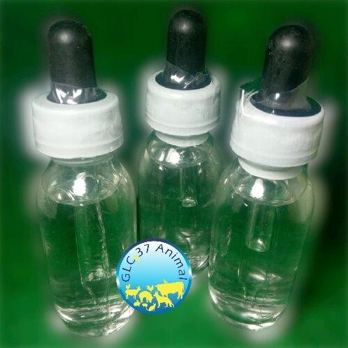 RACING HORSE DOPING AYAM ADUAN