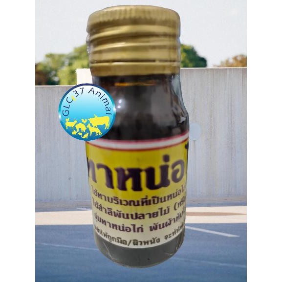 OBAT AYAM BUBUL GANTUNG MUJARAB AMPUH THANOKAI