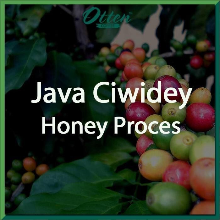 

Green Bean Kopi Arabica Java Ciwidey Honey Process - 1 Kg - Biji Kopi Mentah Siap Roasting - Otten