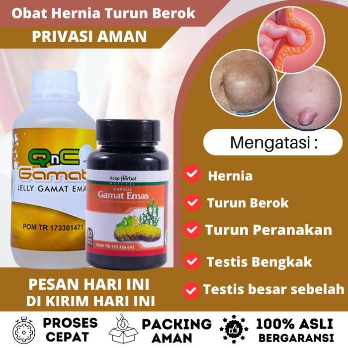QnC Jelly Gamat Emas untuk Hernia Turun berok pria, turun berok dewasa alami sudah BPOM isi 300 ml
