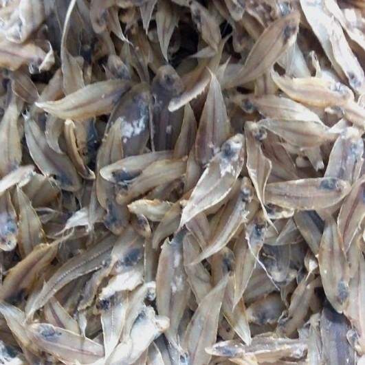 

(Expert) Ikan Asin Lidah Medan 250 gram
