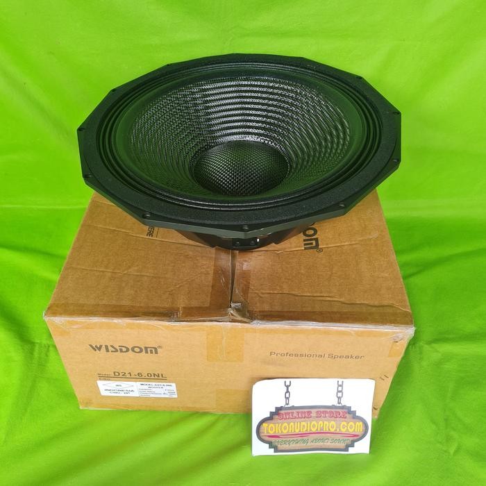 Speaker Wisdom D21-6.0Nl 21-In Component Speaker Wisdom D2160Nl