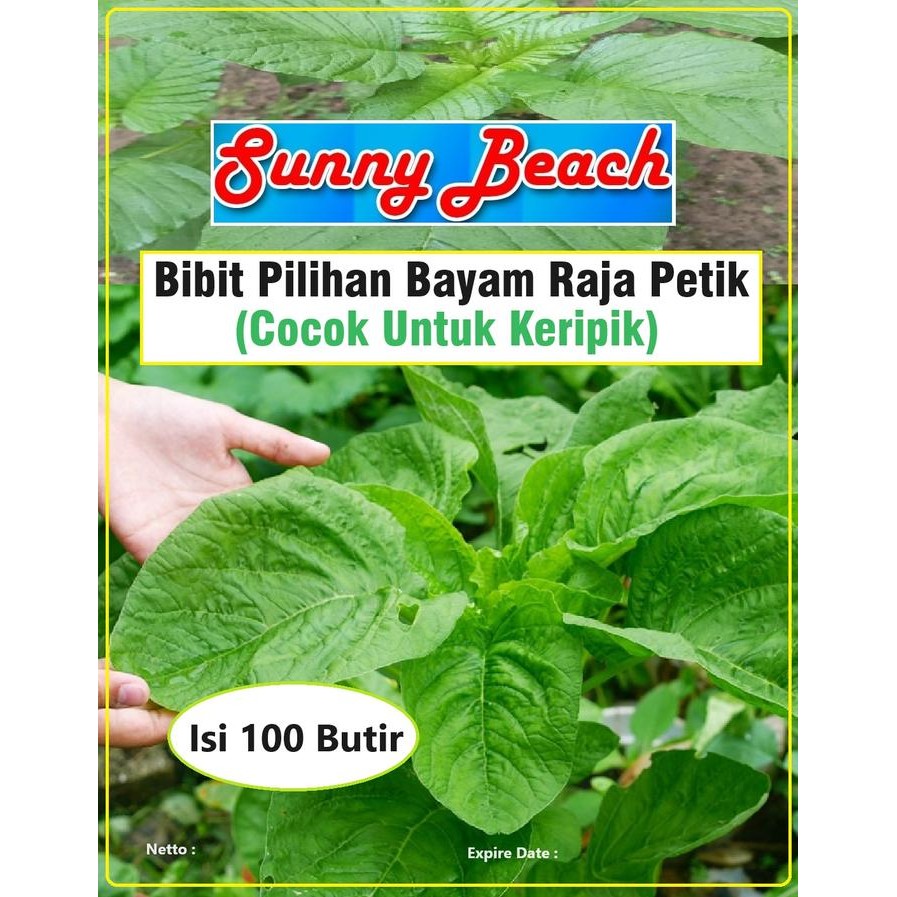Bibit Pilihan Bayam Raja Petik Cocok Untuk Keripik Biji Bibit Bayam Petik Biji Benih Bayam *