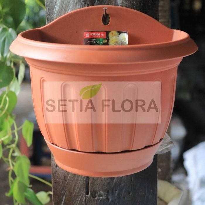 Terang Tani Pot Tanaman/Bunga-Plastik-Tempel Dinding Lion Star No.6
